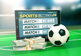 Betwinner Your Gateway to Online Betting Excellence